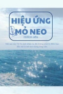 Hiệu Ứng Mỏ Neo