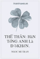 Thế Thân: Hàn Tổng Anh Là Đồ Khốn